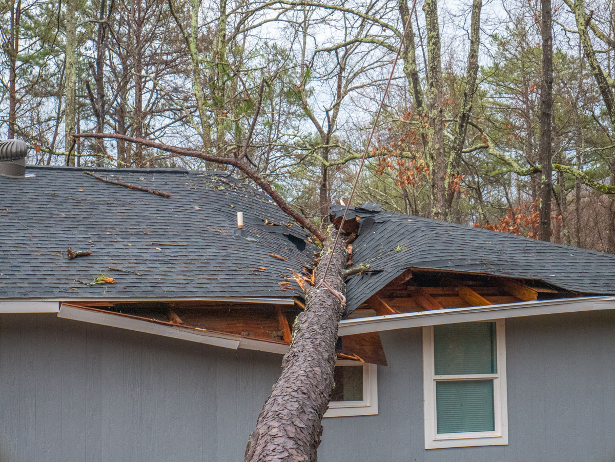 Storm damage photo